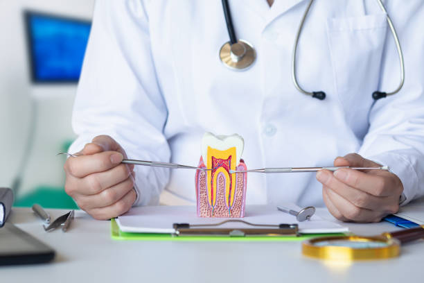 Best Pediatric Emergency Dentist in Lodi, OH